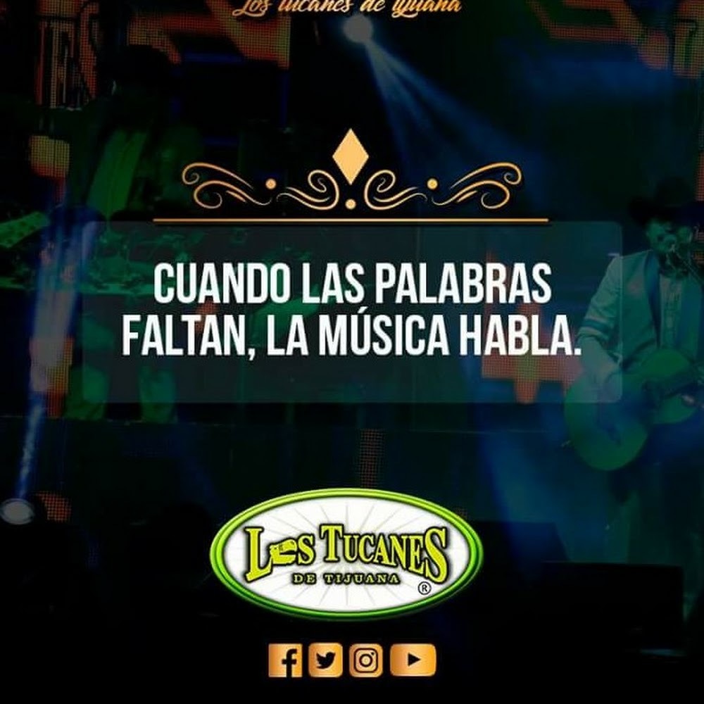 Meet your Posher, Reyna